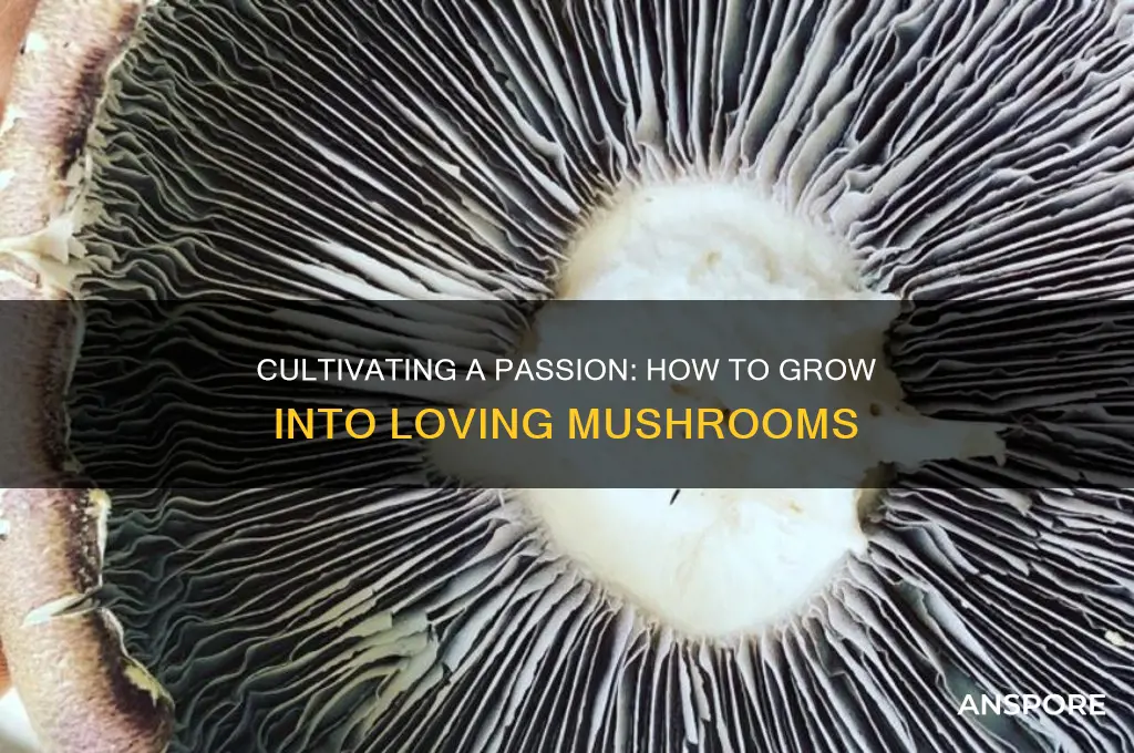 how to growing into loving mushrooms
