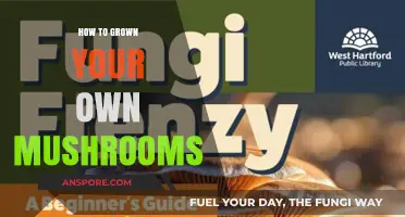 Master Mushroom Cultivation: A Beginner's Guide to Growing Your Own