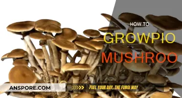 Grow Your Own Pioppino Mushrooms: A Beginner's Guide