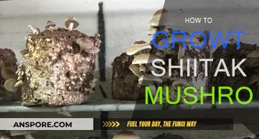 Grow Shiitake Mushrooms: A Step-by-Step Guide