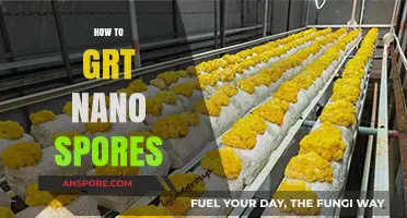 Mastering Nano Spore Cultivation: A Step-by-Step Guide for Beginners