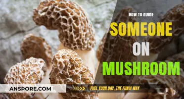 Guiding a Mushroom Trip: Essential Tips for a Safe, Supportive Journey