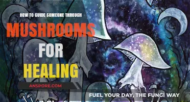 Guiding Through Mushroom Healing: A Step-by-Step Supportive Journey