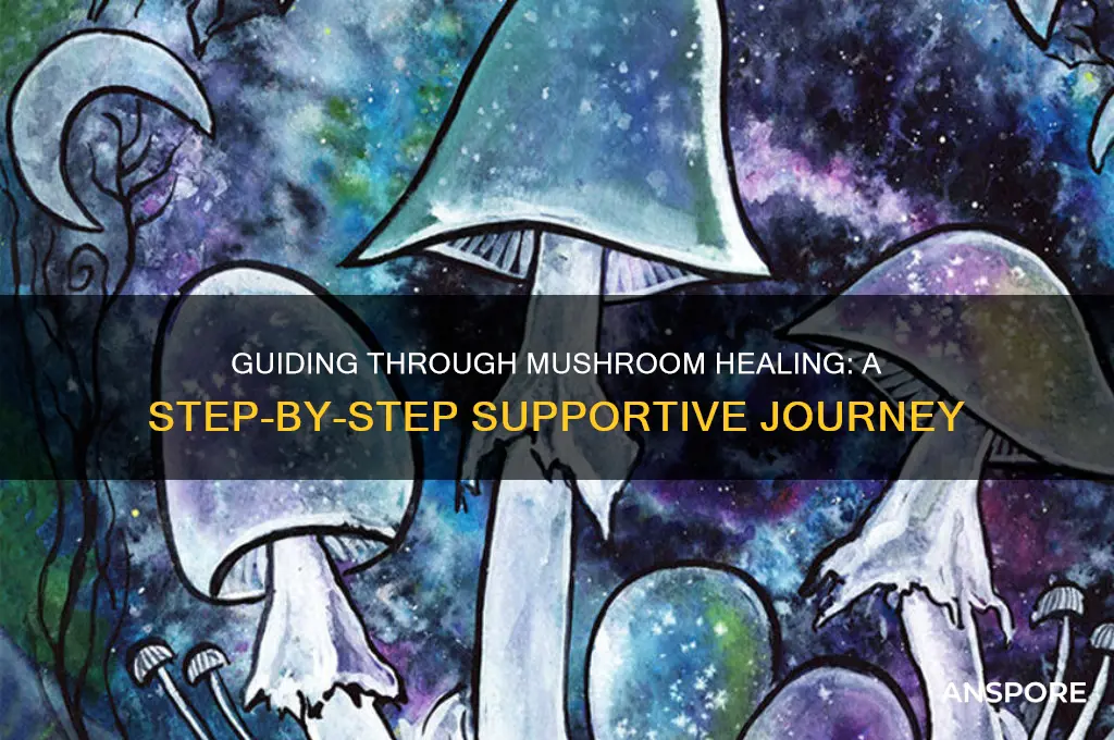 how to guide someone through mushrooms for healing