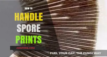 Mastering Spore Prints: A Beginner's Guide to Handling and Identification