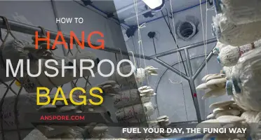 Hanging Mushroom Bags: A Step-by-Step Guide