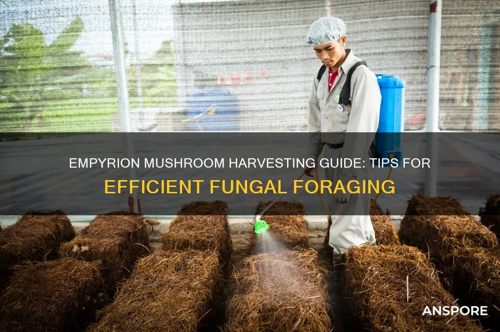 how to harvest mushrooms in empyrion