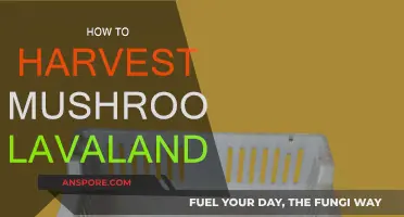 Mushroom Harvesting in Lavaland: A Step-by-Step Guide