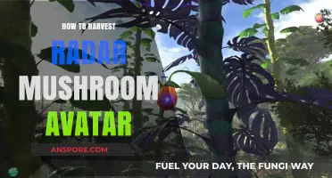 Harvesting Radar Mushroom Avatars: A Step-by-Step Guide for Gamers