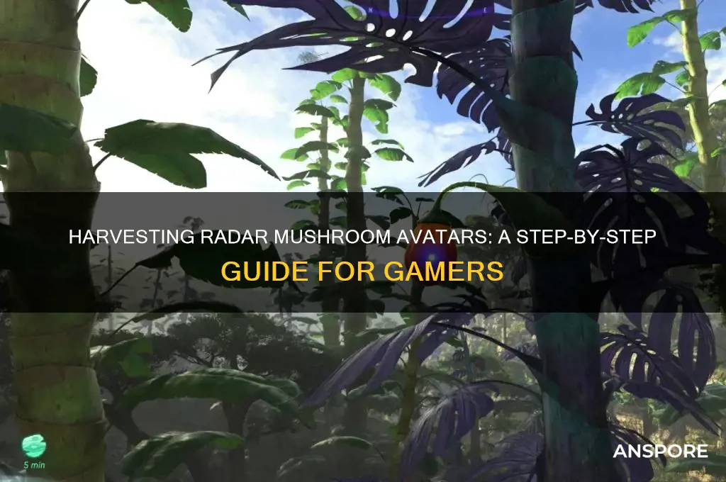 how to harvest radar mushroom avatar