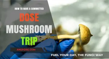 Mastering a Committed Dose: A Guide to Intentional Mushroom Trips