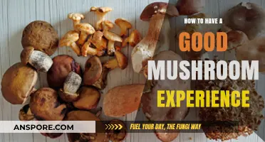 Mastering Mushroom Trips: Tips for a Safe, Positive Experience