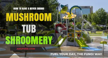 Sustainable Mushroom Farming: Master the Art of Endless Mushroom Tubs