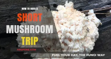 Quick Mushroom Trips: Tips for a Brief Psychedelic Experience