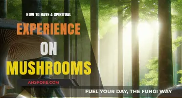 Unlocking Divine Insights: A Guide to Spiritual Mushroom Experiences