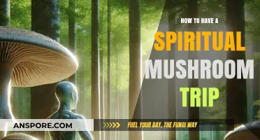 Cultivating Sacred Journeys: A Guide to Spiritual Mushroom Experiences