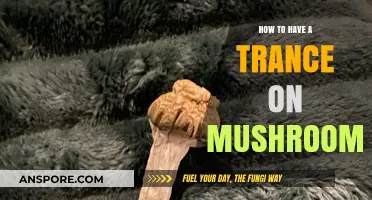 Exploring the Psychedelic Journey: A Guide to Mushroom-Induced Trance States