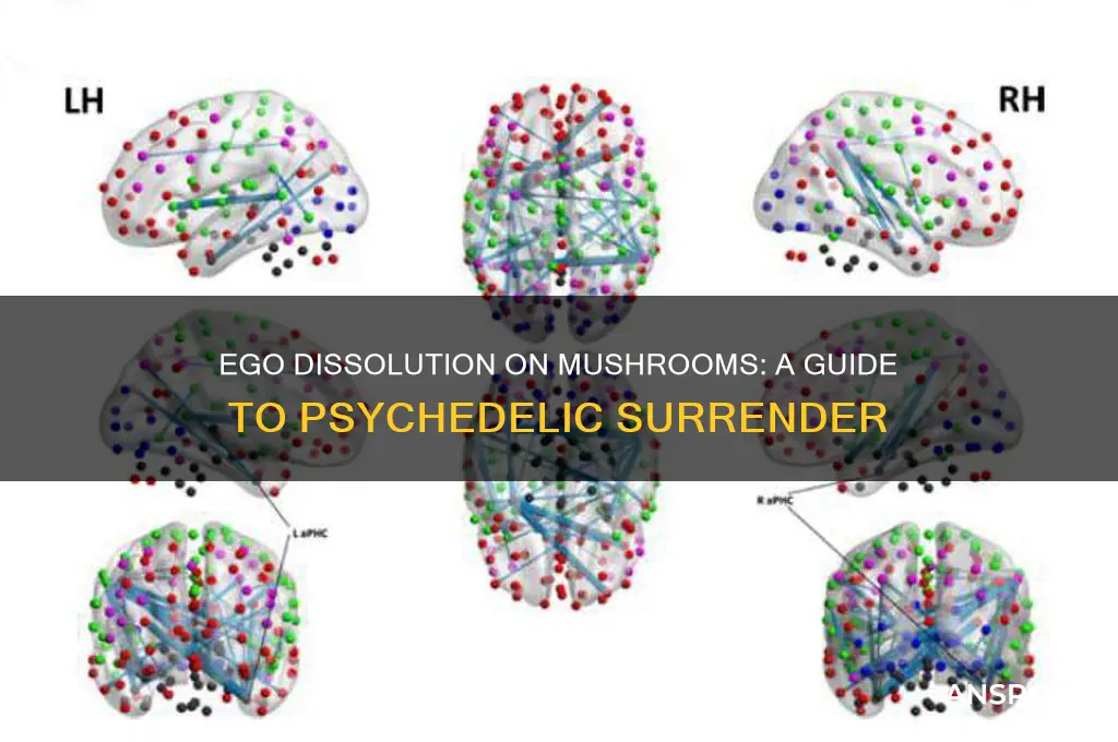 how to have an ego death on mushrooms