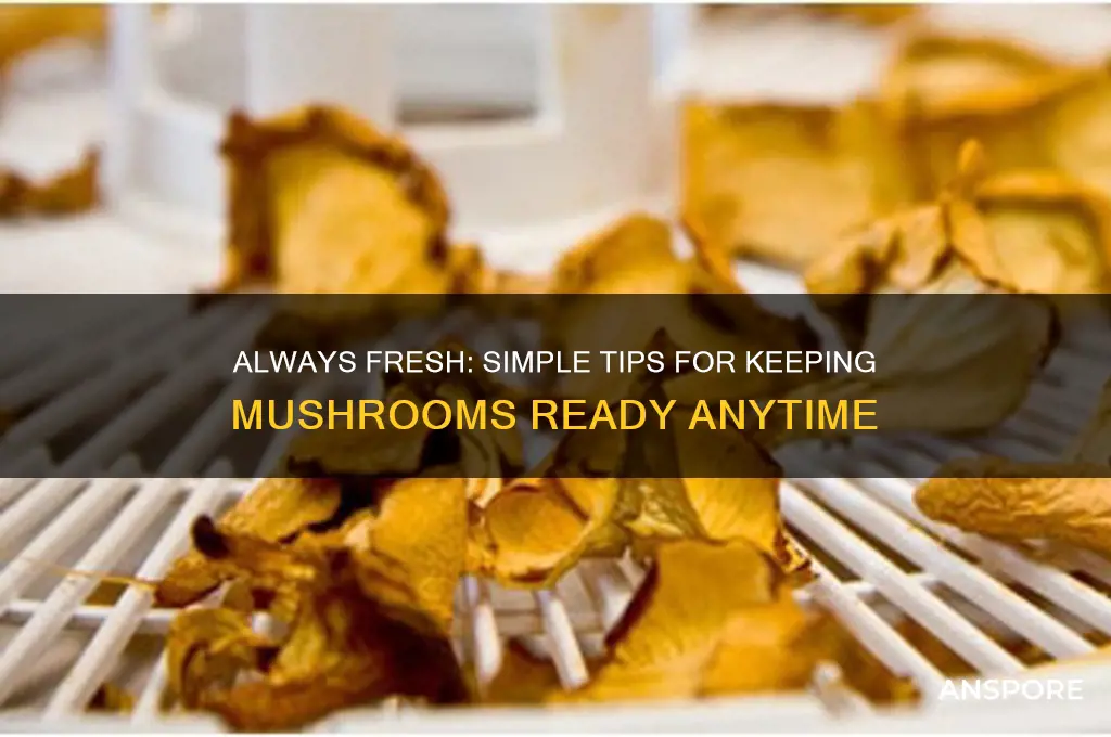 how to have mushrooms always ready