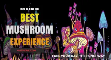 Unlocking the Ultimate Mushroom Journey: Tips for a Transformative Experience