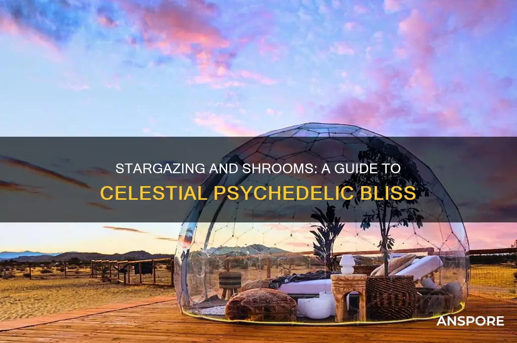 how to have the best mushroom trip under the stars