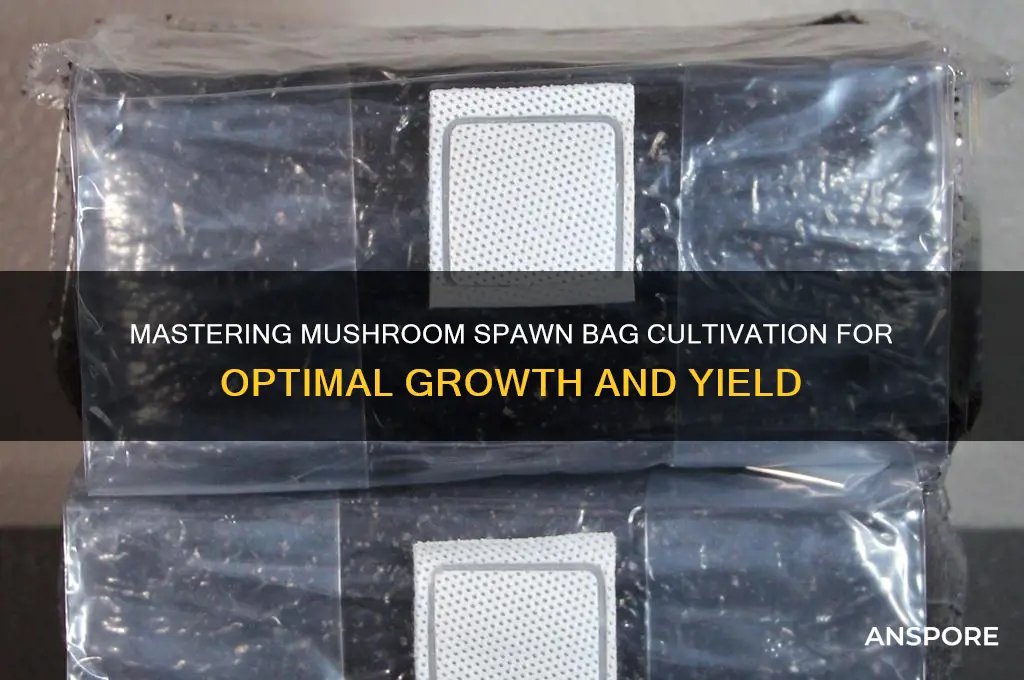 how to have the most successfull mushroom span bag grow
