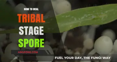 Healing Tribal Stage Spores: Effective Strategies for Healthy Growth