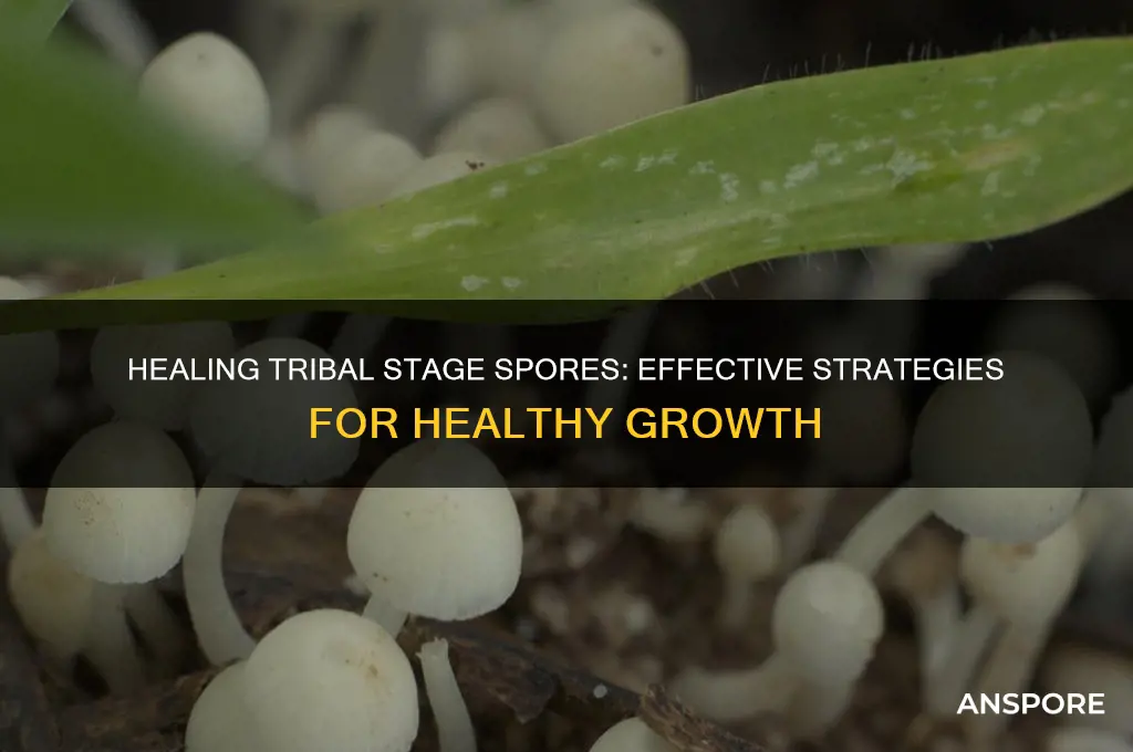 how to heal tribal stage spore