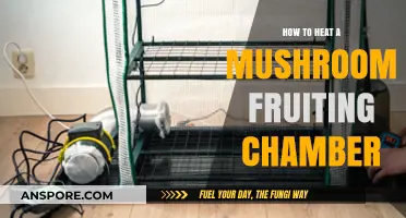 Effective Heating Techniques for Optimal Mushroom Fruiting Chamber Conditions