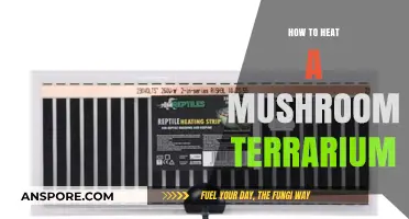 Effective Heating Techniques for Your Mushroom Terrarium: A Comprehensive Guide