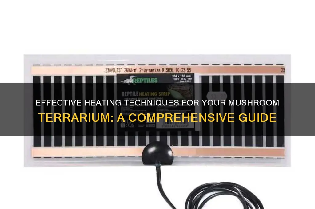 how to heat a mushroom terrarium