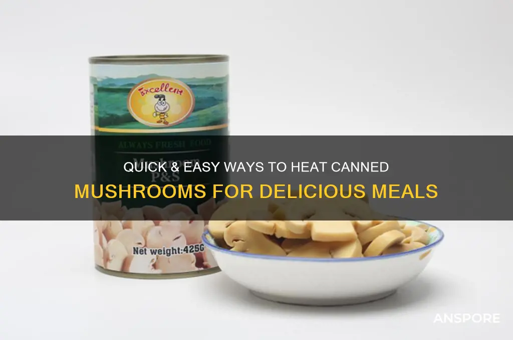 how to heat canned mushrooms