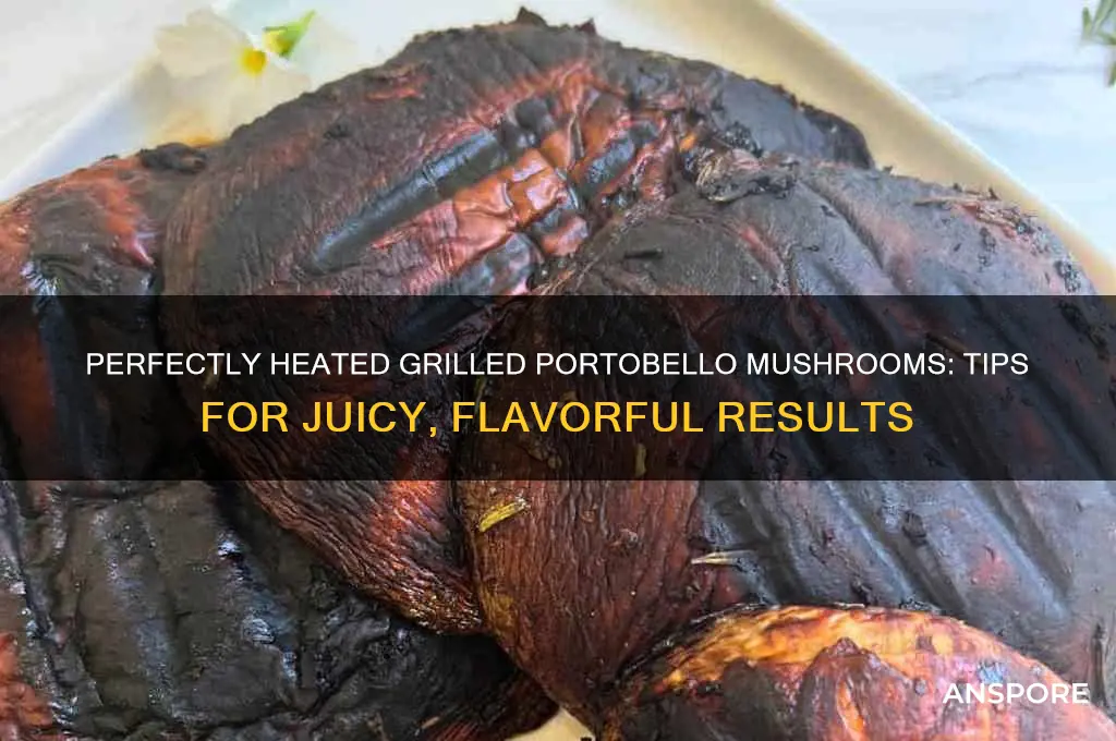 how to heat grilled portobello mushrooms