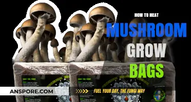 Effective Techniques for Heating Mushroom Grow Bags for Optimal Growth