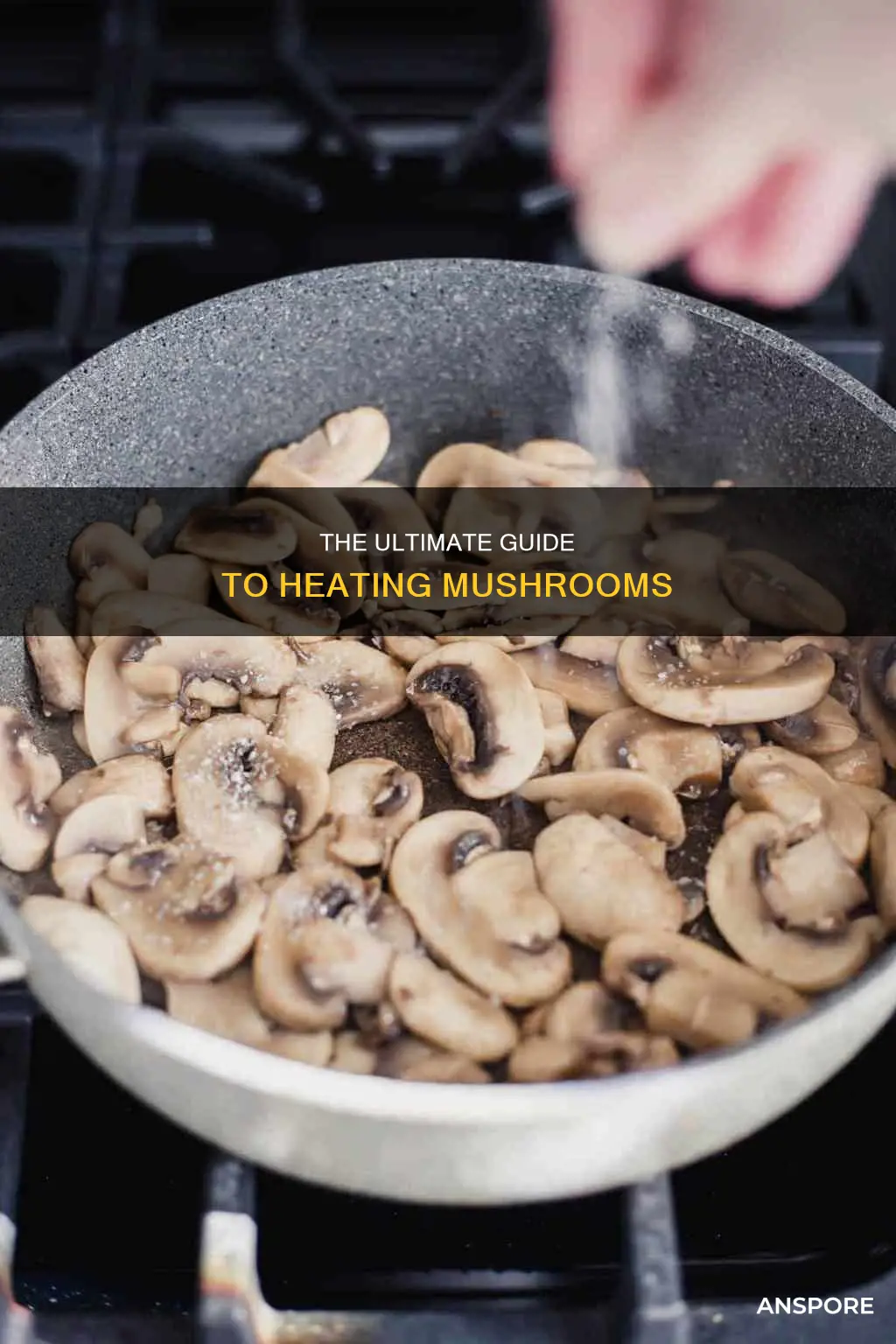 how to heat up mushrooms