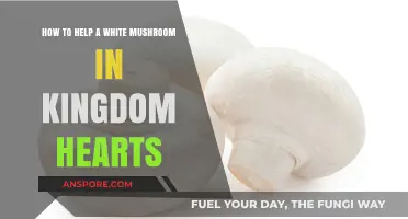 Kingdom Hearts: Essential Tips to Aid a White Mushroom Effectively
