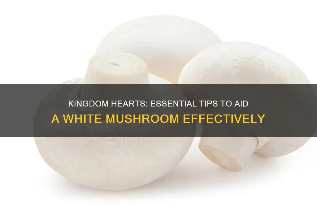 how to help a white mushroom in kingdom hearts