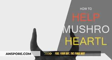 Helping Mushroom Heartless: A Guide to Emotional Support