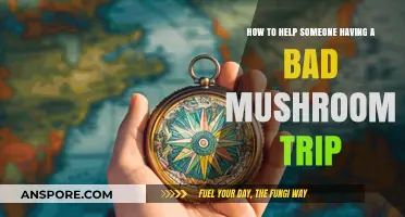 Supporting Through a Bad Trip: Compassionate Guidance for Mushroom Experiences