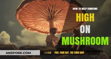 Supporting a Friend Through a Mushroom Trip: Essential Tips and Guidance