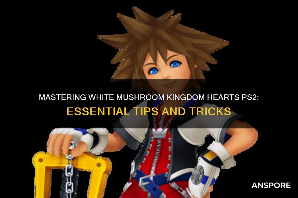 how to help white mushroom kingdom hearts ps2