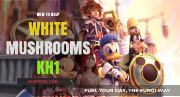 Effective Tips to Help White Mushrooms Thrive in Kingdom Hearts 1