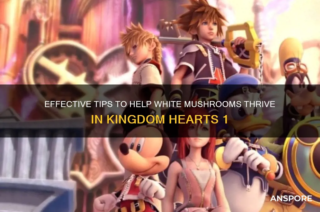 how to help white mushrooms kh1