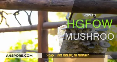 Grow Your Own Mushrooms: A Step-by-Step Guide