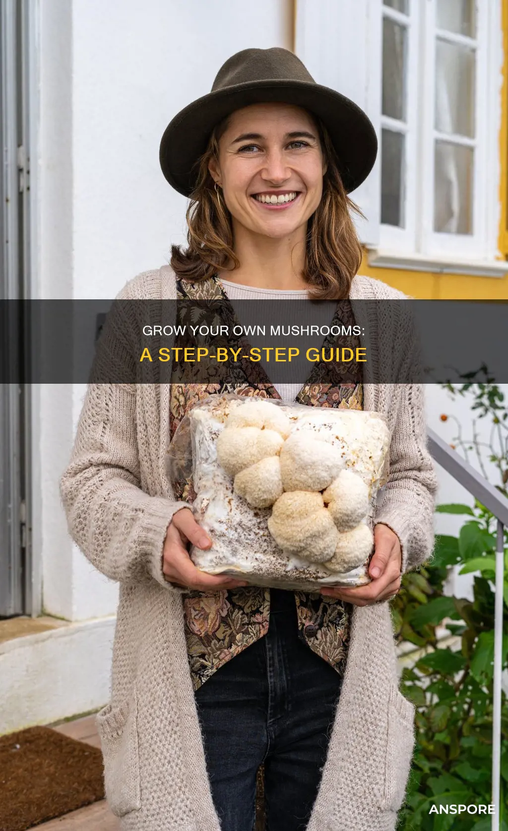 how to hgfow mushroomas