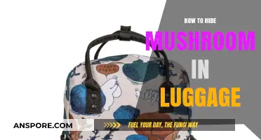 Clever Packing Tips: Concealing Mushrooms in Your Luggage Safely