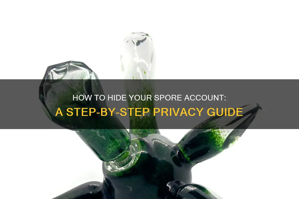 how to hide spore account