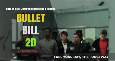 Mastering High Jumps in Mushroom Kingdom's Bullet Bill 2D Adventure