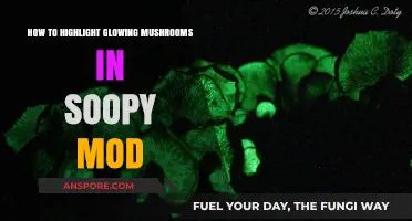 Highlighting Glowing Mushrooms in Soopy Mod: A Step-by-Step Guide