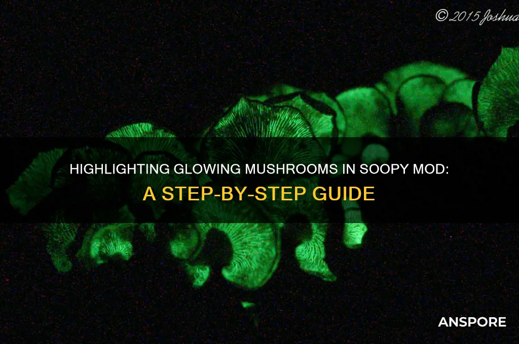 how to highlight glowing mushrooms in soopy mod
